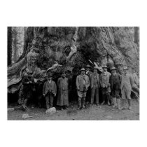 President Roosevelt and John Muir California 1903 posters