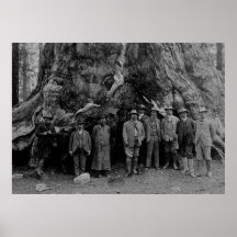 President Roosevelt and John Muir California 1903 Poster