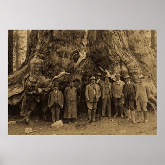 President Roosevelt and John Muir California Sepia print