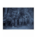 President Roosevelt and John Muir  (Cyan) Tee Shirts