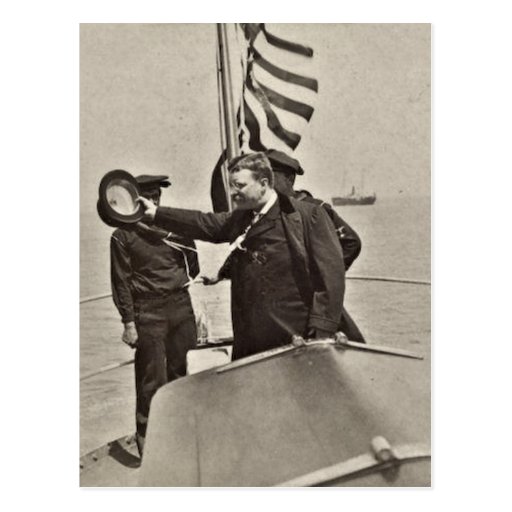 theodore roosevelt a progressive bull moose