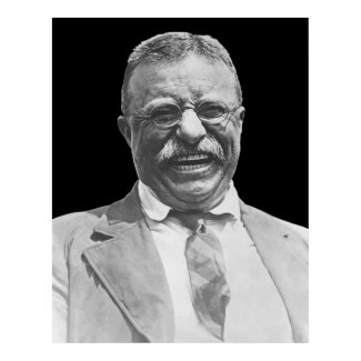 President Teddy Roosevelt print