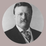 President Theodore Roosevelt Portrait stickers