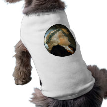 President Thomas Jefferson Doggie T-shirt