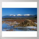 Presidential Range Mount Washington Beaver Lodge Posters