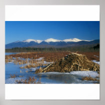 Presidential Range Mount Washington Beaver Lodge Posters