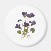 Pressed Flower Designs Refrigerator Magnets