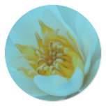 Pretty and Close Round Stickers