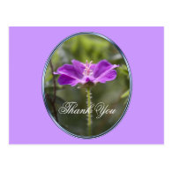 Pretty and elegant purple garden flower thank you post card