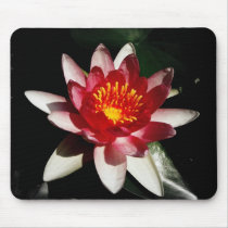 Pretty and Pink mousepads by princessklb07 Pretty and Pink mousepads