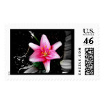 Pretty and Pink postage