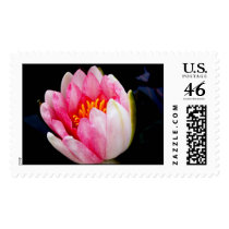 Pretty and Pink postage