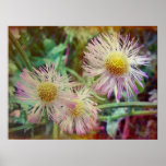 Pretty and Pink Posters