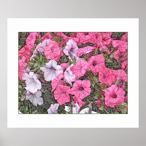 Pretty and Pink Posters