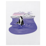 pretty artic orca scene flyers