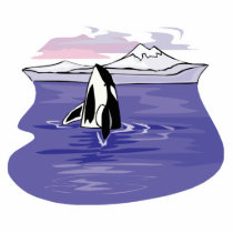 pretty artic orca scene photo cutouts