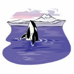 pretty artic orca scene photo cutouts