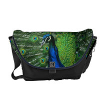 Pretty as a Peacock Courier Bag