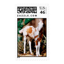 PRETTY BABY DOLL postage by MOONGLOWARAB86 PRETTY BABY DOLL postage