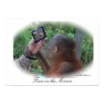 Pretty Baby Orangutan poster posters by Rebecca_Reeder Pretty Baby Orangutan poster posters