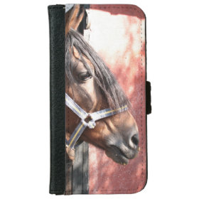 Pretty Bay Horse in a Sunlit Stable iPhone 6 Wallet Case