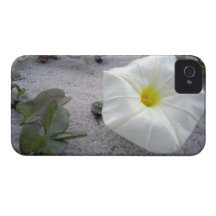 Pretty Beach Morning Glory iPhone 4 Case