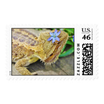 Pretty Bearded Dragon Postage