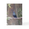 Pretty Bird Greeting Card by Cheekyeval Pretty Bird Greeting Card