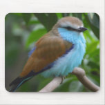Pretty Bird Mousepad