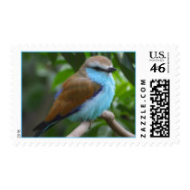 Pretty Bird Postage