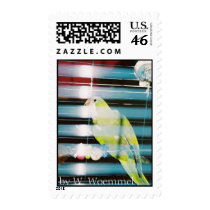 "Pretty Bird" Postage