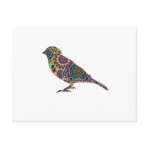 Pretty Bird postcards