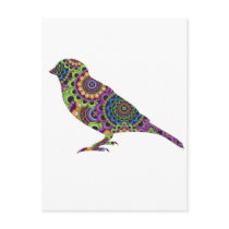 Pretty Bird postcards