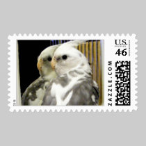 pretty bird Stamps stamps
