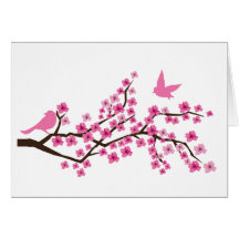 Pretty birds on cherry blossom branch card