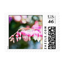 Pretty Bleeding Hearts Stamps