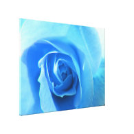 pretty blue rose flower macro picture. stretched canvas print