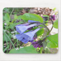 Pretty Bluebells Mousepad mousepads