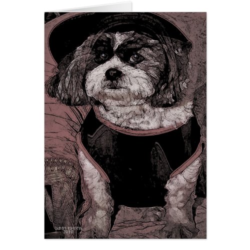 Pretty Boy - Adorable Dog Greeting Card by Ginny Luttrel