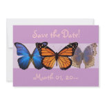Pretty Butterfly Announcements