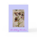 Pretty Butterfly Birthday Card
