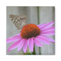Pretty Butterfly magnet