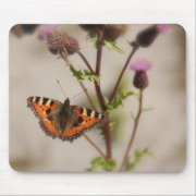 Pretty Butterfly Mousepad mousepad