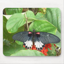 Pretty Butterfly mousepads by codfishlady Pretty Butterfly mousepads