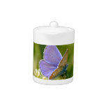 Pretty Butterfly Teapot