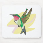 pretty colibri bird