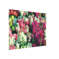 pretty coloful garden flowers gallery wrapped canvas