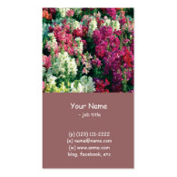 pretty colorful garden flowers business card
