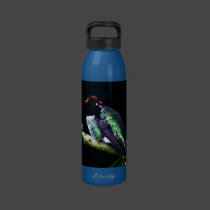 Pretty Colorful Hummingbird on Blue Water Bottle water bottles