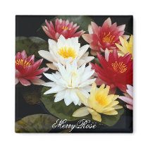 Pretty Colorful Lilies magnets by MerryRose Pretty Colorful Lilies magnets